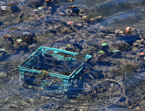 Απορρίμματα  - Θάλασσες