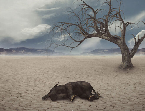 Ξηρασία / © Pixabay