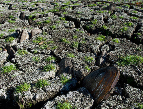 Ακαδημία Αθηνών: Απειλή για την υγεία η κλιματική αλλαγή