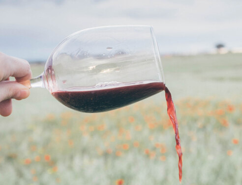 Όλα όσα ήθελες πάντα να μάθεις για το κρασί