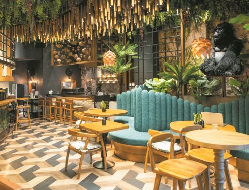 Iguazu: Η τροπική ζούγκλα που αγαπούν οι Αθηναίοι 