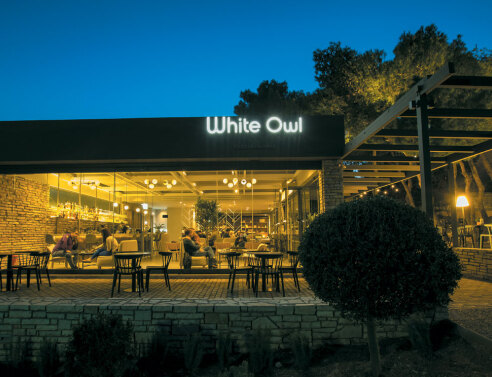 White Owl Cafe: Μια καταπράσινη όαση στην πόλη