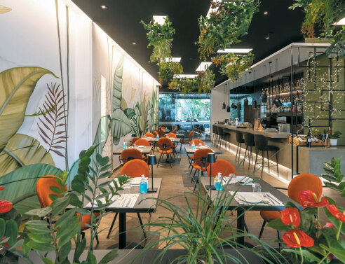 Ivis 4: Αξέχαστες γεύσεις στον μυστικό κήπο του Ψυρρή