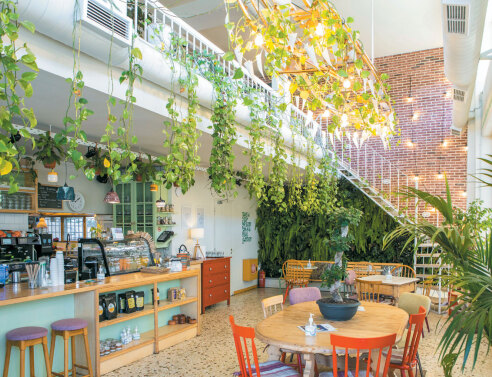 Mimosa Neighborhood Bistrot, υγιεινό brunch στη Νέα Φιλαδέλφεια