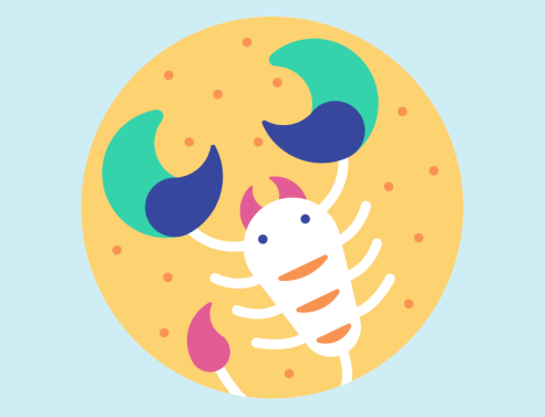 Σκορπιός: Ετήσια πρόβλεψη για το 2019