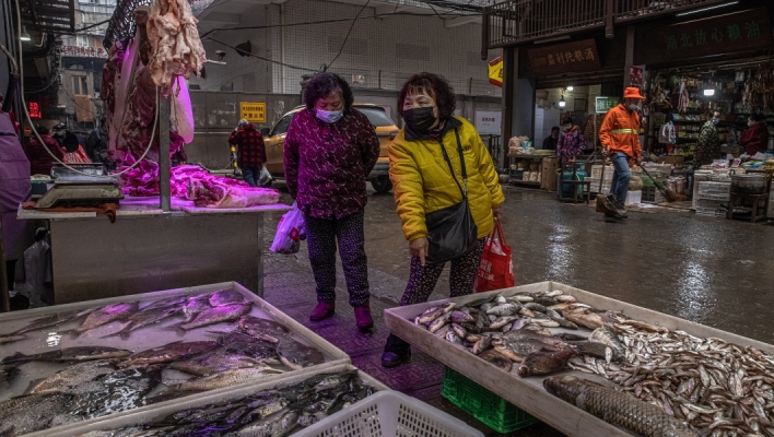 Δύο γυναίκες από Κίνα κοιτάζουν τελάρα με ψάρια