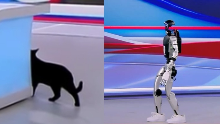 Τα... είδε όλα ο γατούλης του ΣΚΑΪ με το ρομπότ «Σοφία» - Έτρεχε να κρυφτεί 