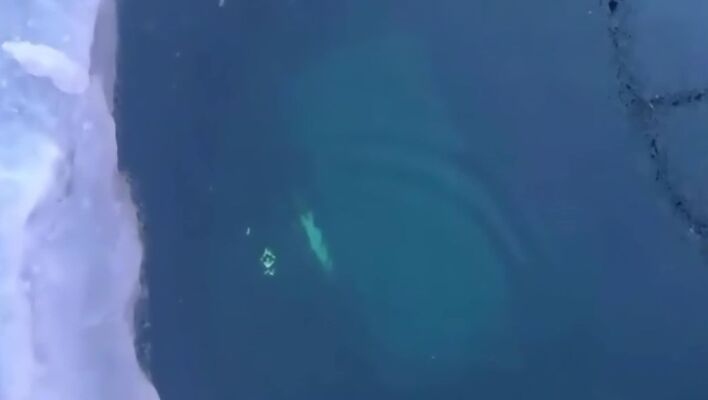 To αυτοκίνητο των άτυχων Κινέζων στη παγωμένη λίμνη Βαϊκάλη