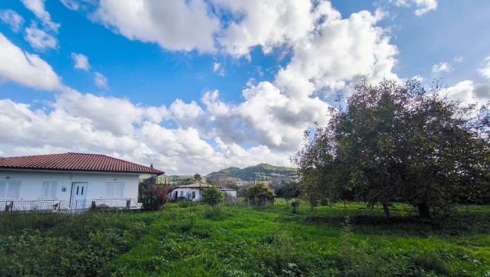 Καιρός: Ανοιξιάτικο το σκηνικό αύριο με τη θερμοκρασία στους 19 βαθμούς