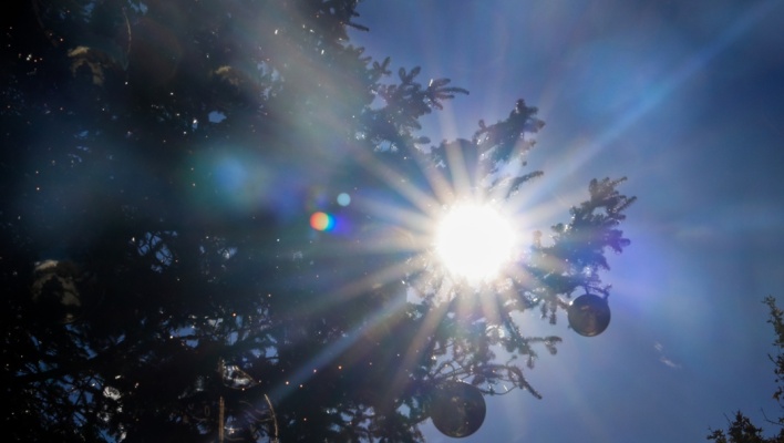 ήλιος πίσω από τα κλαδιά χριστουγεννιάτικου δέντρου