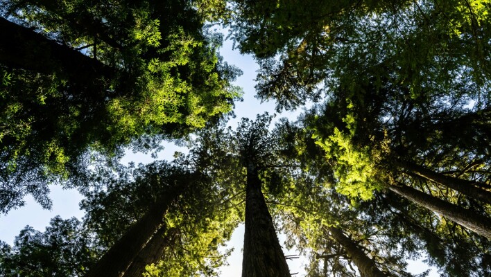 «Καμπάνα» 10 εκατ. ευρώ στην Πορτογαλία από την ΕΕ για την προστασία της βιοποικιλότητας