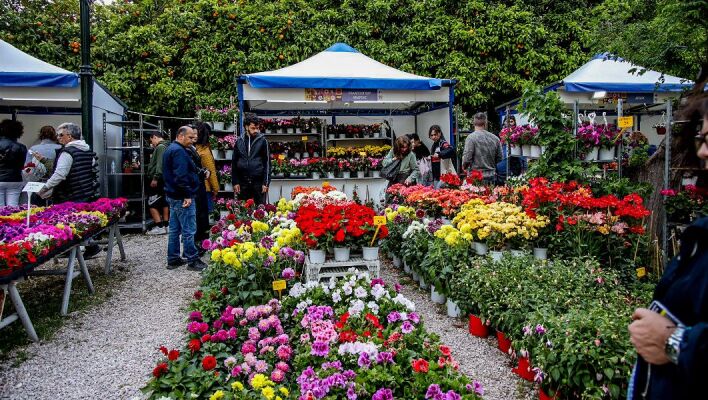 Η Ανθοκομική Έκθεση Κηφισιάς επιστρέφει για τους λάτρεις των λουλουδιών και των φυτών