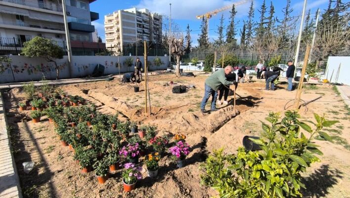 Ο Δήμος Αθηναίων ενισχύει το πράσινο σε 43 σχολικές αυλές, δημιουργώντας οάσεις δροσιάς με τη φύτευση 229 δέντρων και 1.238 θάμνων.