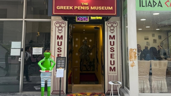 penis museum