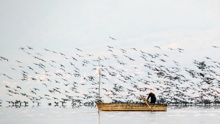 Kerkini Wetlands Photo Awards