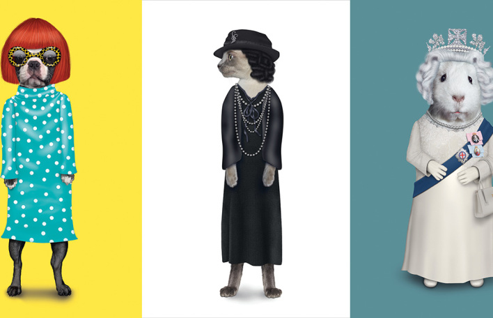 Φωτογραφία από το βιβλίο Pet Rocks των Mark και Kate Polyblank (εκδόσεις TeNeues)