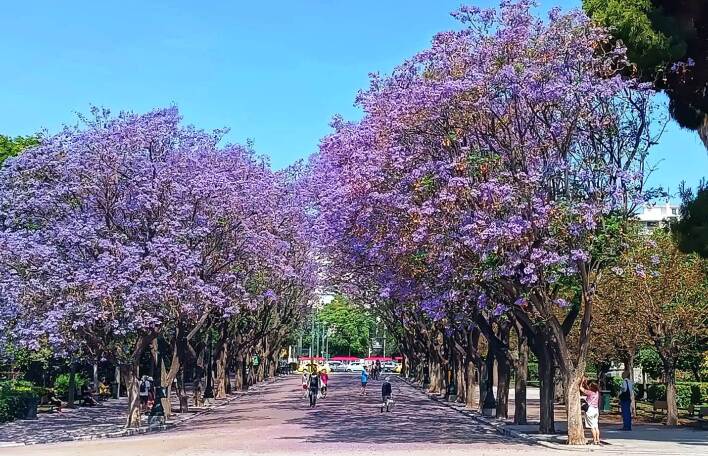 Από τα Αναφιώτικα στη Ρωμαϊκή Αγορά: Η προσωπική διαδρομή της Έλενας Ντάκουλα
