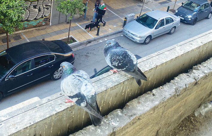 Σε βλέπω να μας βλέπεις αφ’ υψηλού