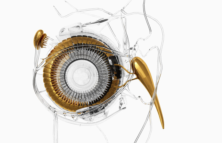 Κώστας Πnγαδάς: Θα ήθελα τα έργα µου να «θεραπεύουν την ανθρώπινη ψυχή»