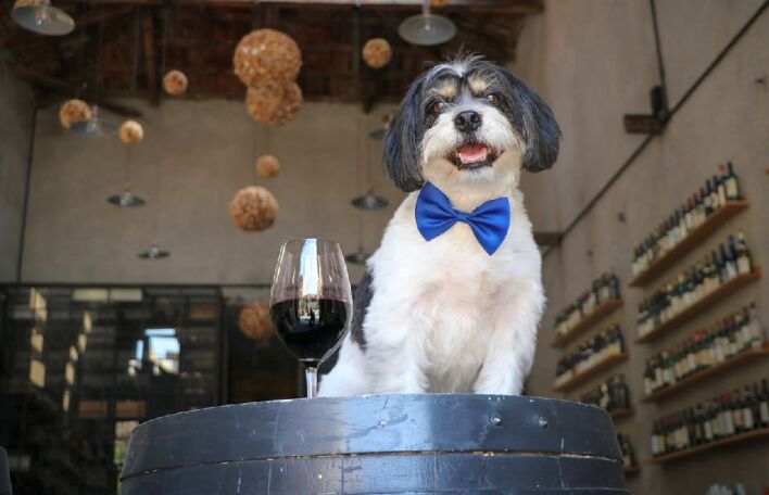 Η άνθηση των wine bars