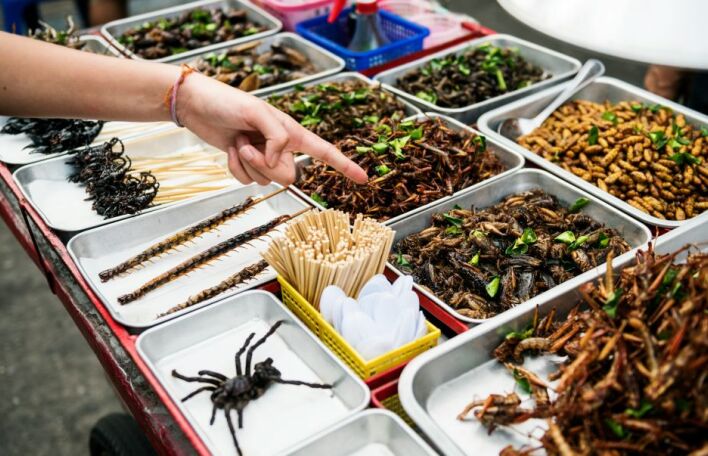 Η τεχνολογία και η επιστήμη εντάσσουν τα έντομα στη διατροφή μας