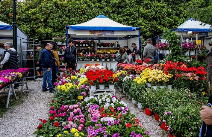 Η Ανθοκομική Έκθεση Κηφισιάς επιστρέφει για τους λάτρεις των λουλουδιών και των φυτών