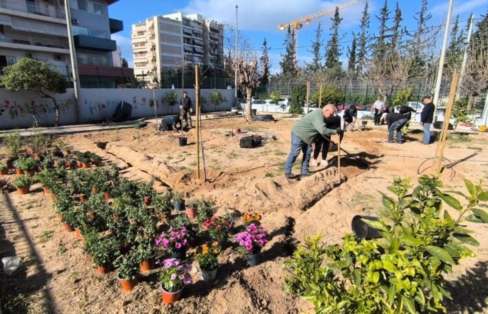 Ο Δήμος Αθηναίων ενισχύει το πράσινο σε 43 σχολικές αυλές, δημιουργώντας οάσεις δροσιάς με τη φύτευση 229 δέντρων και 1.238 θάμνων.