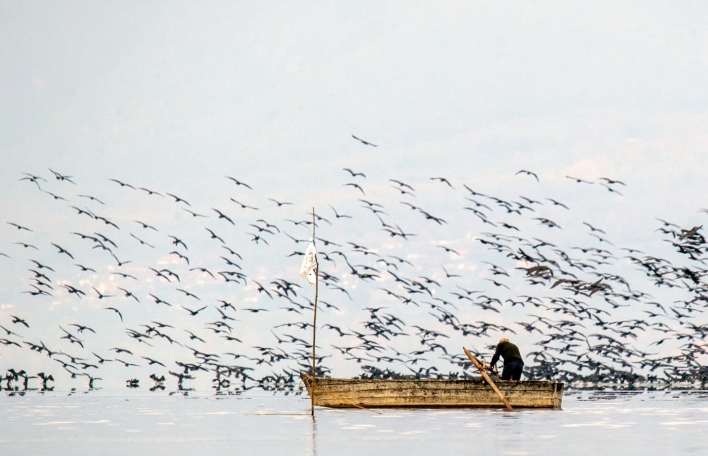 Kerkini Wetlands Photo Awards