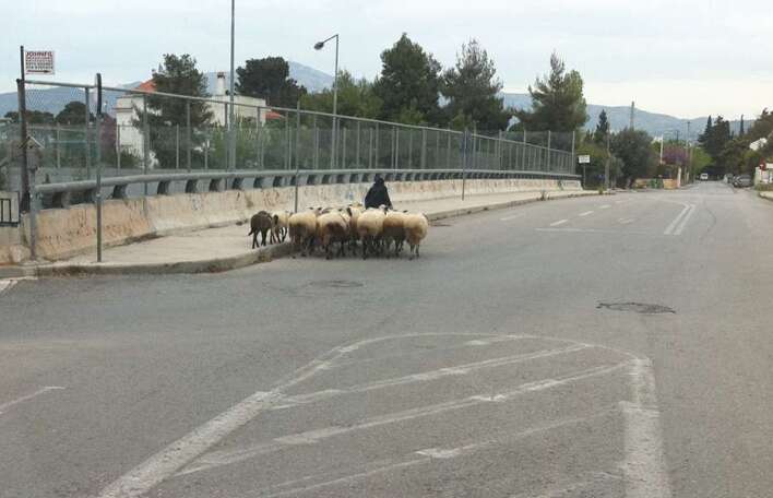 Φτιάξε μου τη μέρα: Αστική αθηναϊκή βόλτα