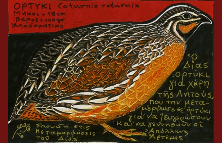 Ορτύκι