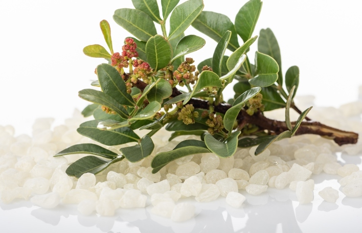 Μίξερ από τον Στέλιο Παρλιάρο: 10 συνταγές με μαστίχα Χίου