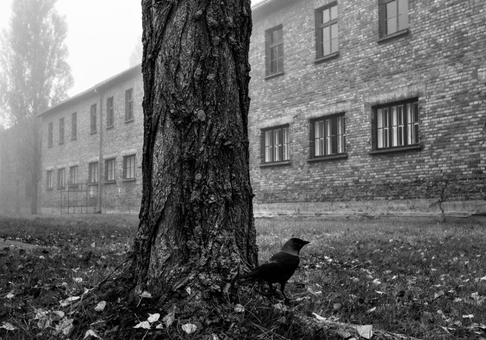 Στρατόπεδο Άουσβιτς I. Credits: Renée Revah