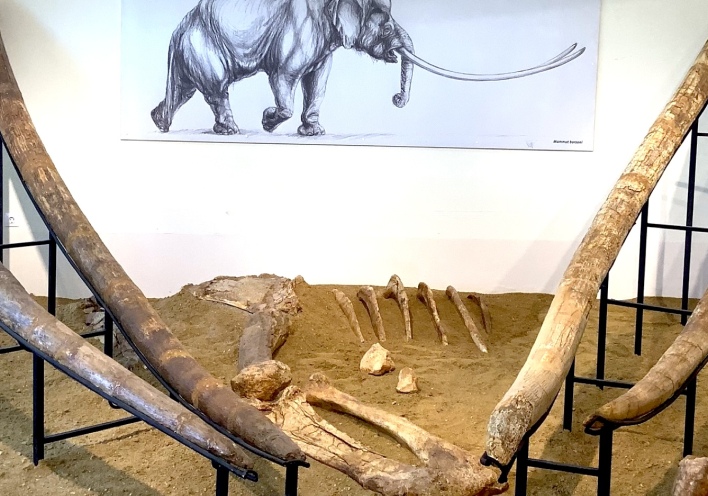 Μουσείο Φυσικής Ιστορίας Μηλιάς Γρεβενών