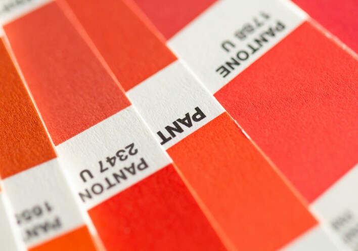 PANTONE 2347-U ©Christina Rumpf unsplash