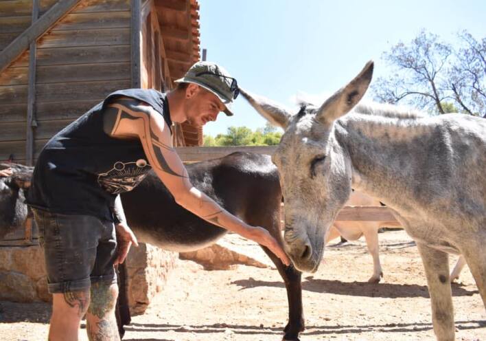 Η φάρμα Βρούβα