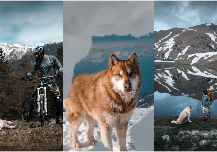 Έκτορας, η μασκότ του ορειβατικού ξενώνα «Munti Smolikas»