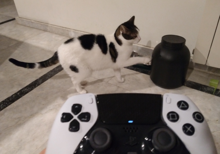 Οι γάτες και τα videogames έχουν ένα κοινό: τη χαρά του να πασχίζουμε να επικοινωνήσουμε μαζί τους