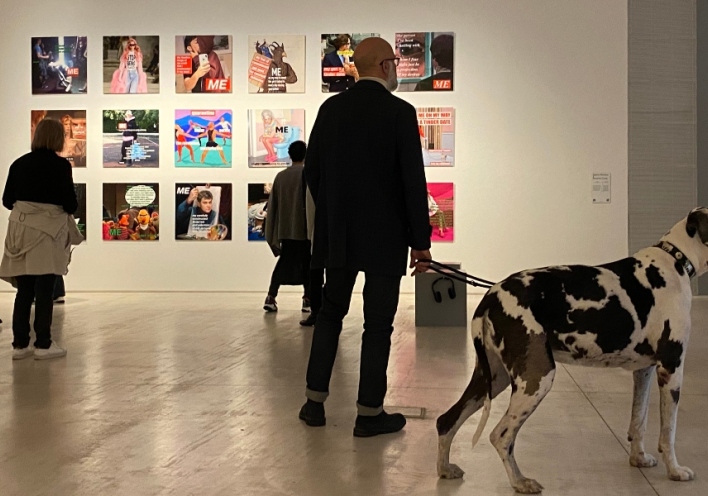 Παγκόσμια Ημέρα Αδέσποτων ζώων στο ΕΜΣΤ