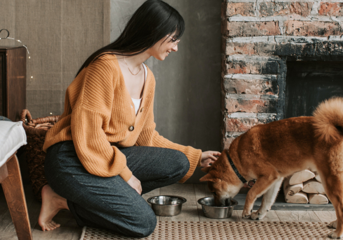 Διατροφή σκύλων