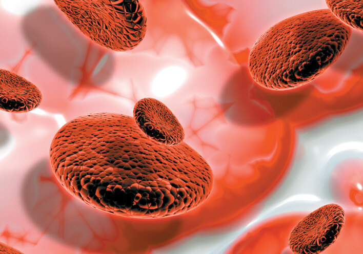 blood cells 