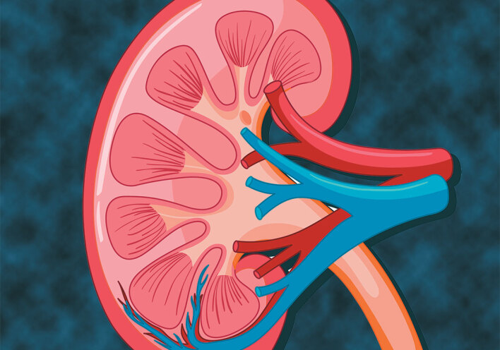 Νέα εποχή στον καρκίνο του νεφρού