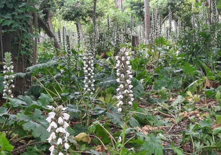 Από το Πεδίον του Άρεως στη Φωκίωνος Νέγρη: Η προσωπική διαδρομή του Κωνσταντίνου Ματσούκα 