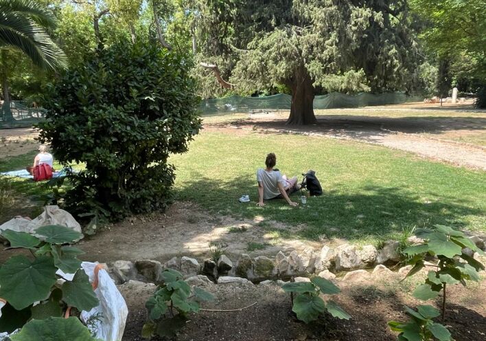 Από τη Βασιλίσσης Σοφίας στον Εθνικό Κήπο: Η προσωπική διαδρομή του Γιάννη Νένε