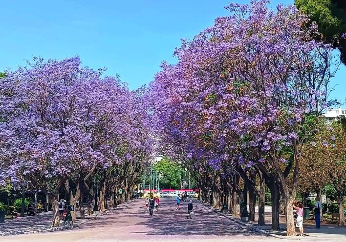 Από τα Αναφιώτικα στη Ρωμαϊκή Αγορά: Η προσωπική διαδρομή της Έλενας Ντάκουλα