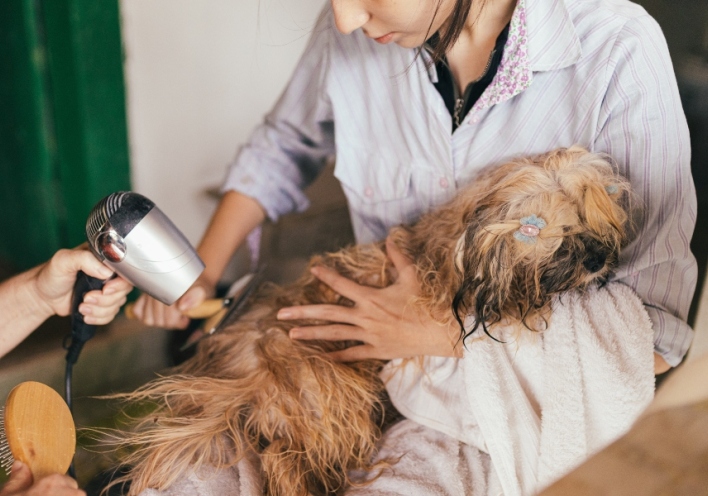 Σαμπουάν σκύλων