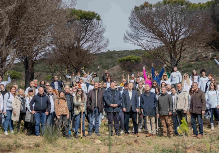Παπαστράτος: Αναδάσωση Πεντέλης