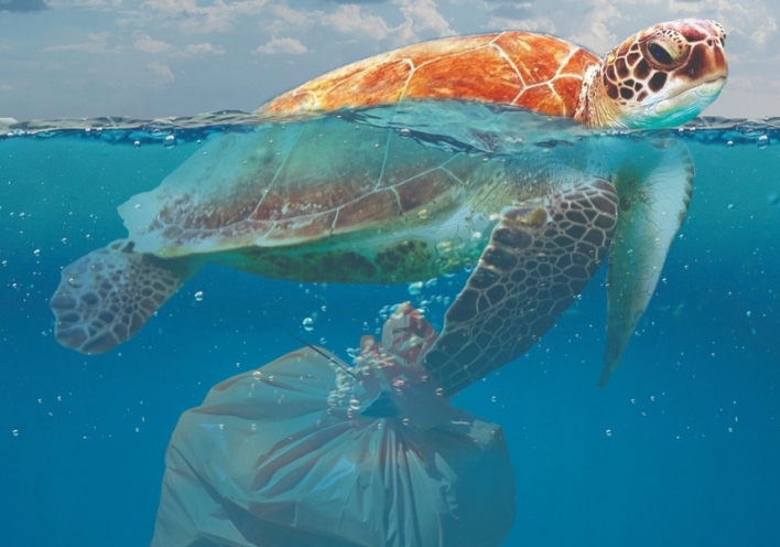 Τι κάνει η Ευρώπη για να πατάξει το περιβαλλοντικό έγκλημα;  