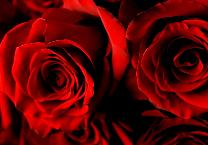 Τα λουλούδια του έρωτα για του Αγίου Βαλεντίνου