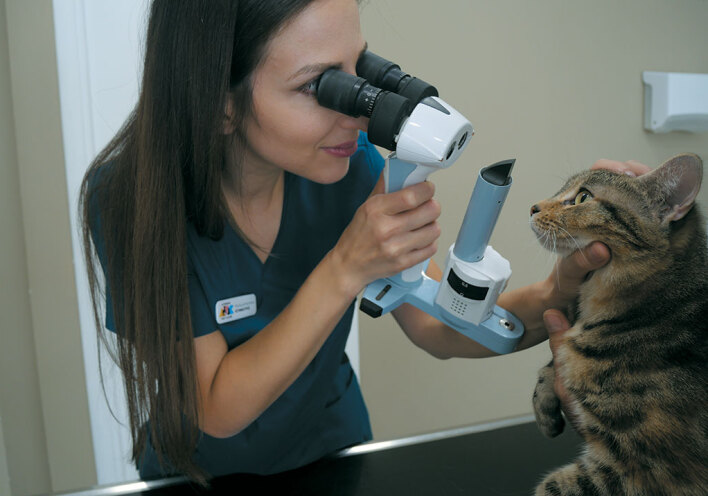 Athens vet care