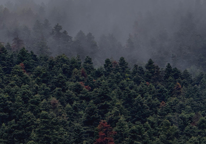 Εκδρομή με το αυτοκίνητο: μια απόδραση του μυαλού